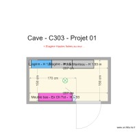 Cave C 303 Projet 01