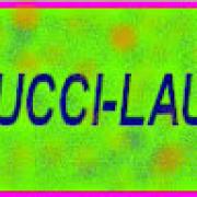 Avatar de vespuccilaurent