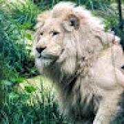 Avatar de TeddyBourrigault