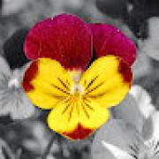 Avatar de BlandineD1