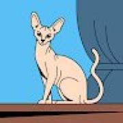Avatar de EDGARBR
