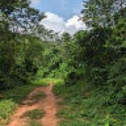 Avatar de BatriceKaya