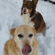 Avatar de Rouzeaugeoffrey