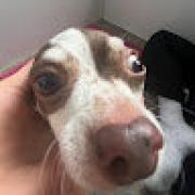 Avatar de MalleCLMENT