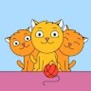 Avatar de JackyGeeraerts