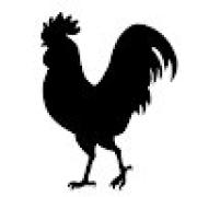 Avatar de CyberRooster