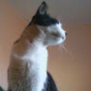 Avatar de galita