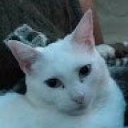 Avatar de LaFIFI1