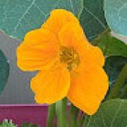 Avatar de OlivierMOREUIL