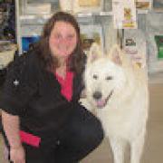 Avatar de DarieMenaitreau