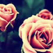 Avatar de FloreGaborieau