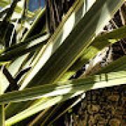 Avatar de Estelle261