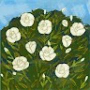 Avatar de MelodiePayet