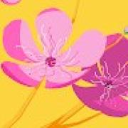 Avatar de AmandineGaillard