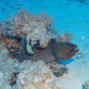 Avatar de PhilippeColombet