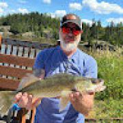 Avatar de PhilippeGreffard