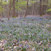 Avatar de alexiabuis