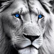 Avatar de Firebird095