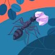 Avatar de MarineGalloux