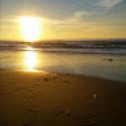 Avatar de dacquetlaurence