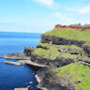 Avatar de ShanonGirardi