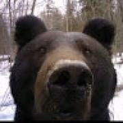 Avatar de MathieuCharlot