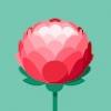 Avatar de RoseChristophe