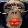 Avatar de ArianePeersdeNieuwbu