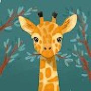 Avatar de FatimaEmmanuellaJose