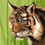 Avatar de CamilleCayeux