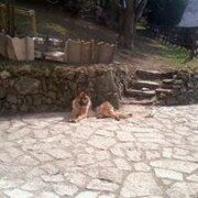 Avatar de grange42