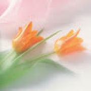 Avatar de CorinneHeurtebise