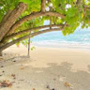 Avatar de ChristopheCOMBES