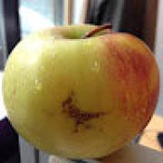 Avatar de OlivierSpieser