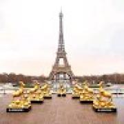 Avatar de YacoubaKone