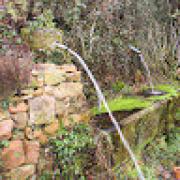 Avatar de camillejrmy