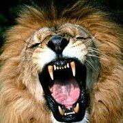 Avatar de lotfi1969