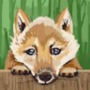 Avatar de MandaTraore