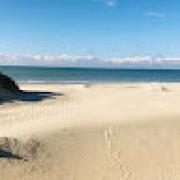 Avatar de SabineDANTIN