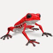 Avatar de DimitriNol