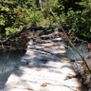 Avatar de MelissaTaborda