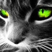 Avatar de Bastienchauvin