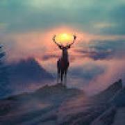 Avatar de sarahSimon