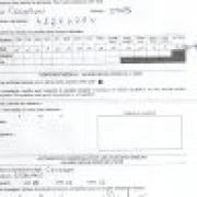 Avatar de InesCoudron