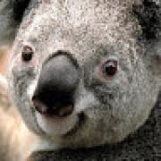 Avatar de HugoTerraz