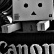Avatar de 