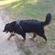 Avatar de jrmyPhilibert