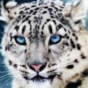 Avatar de ChrisGuerre