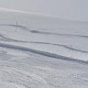 Avatar de Aur?lien DarWeed Spilsteyns