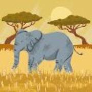 Avatar de CamilleLucFerr